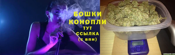 прущие крисы Арсеньев