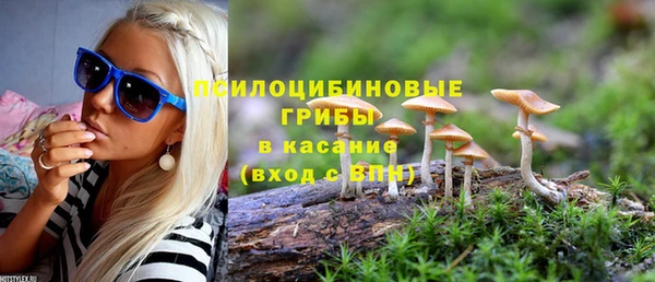 эйфоретик Куйбышев