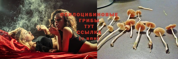 герыч Аркадак