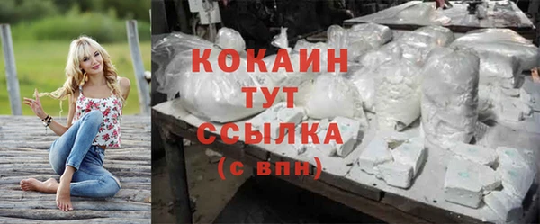 прущие крисы Арсеньев