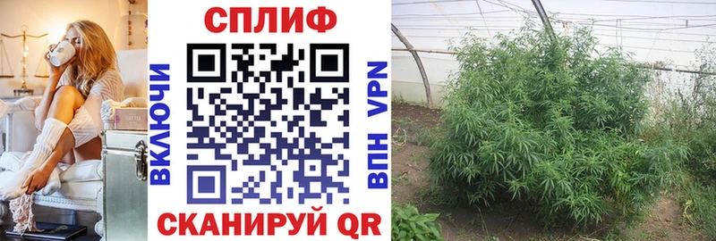 Бошки Шишки THC 21%  дарнет шоп  Лермонтов 